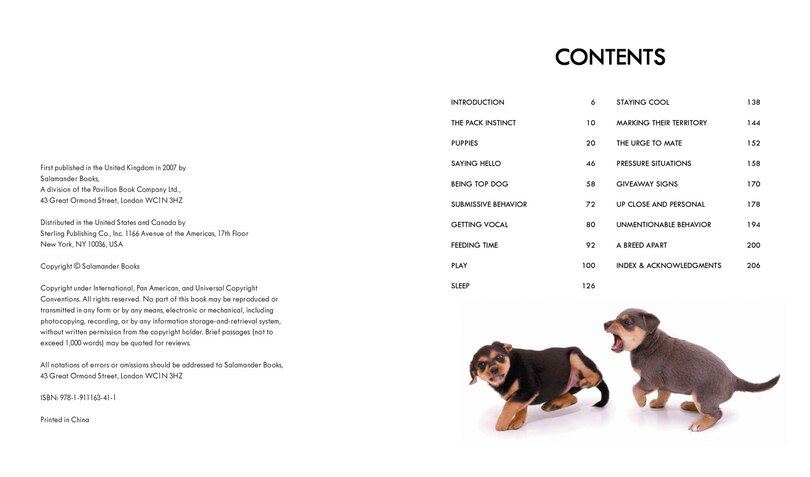 Aper&ccedil;u du contenu_Dog Body Language