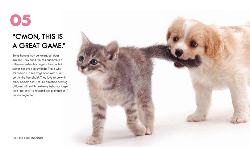 Aper&ccedil;u du contenu 2_Dog Body Language