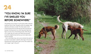 Aper&ccedil;u du contenu 3_Dog Body Language