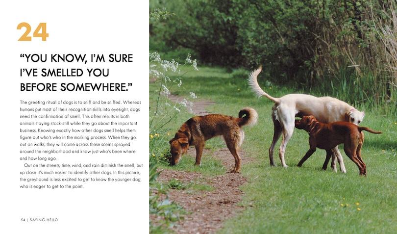 Aper&ccedil;u du contenu 3_Dog Body Language