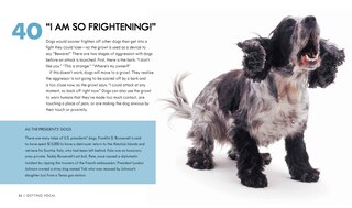 Aper&ccedil;u du contenu 4_Dog Body Language