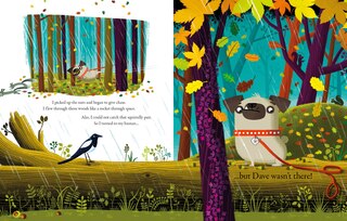 Sample content_Dog Gone