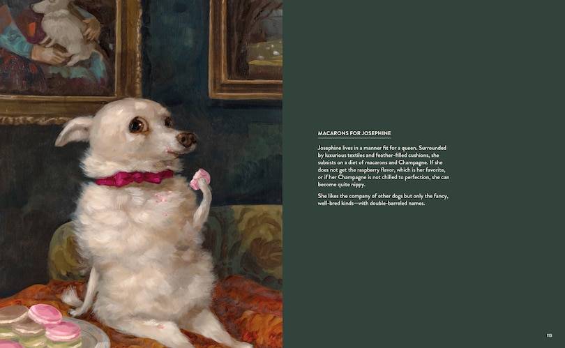 Sample content 5_Dog Only Knows