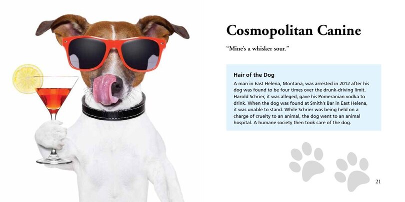 Aper&ccedil;u du contenu_DOGS GONE BAD