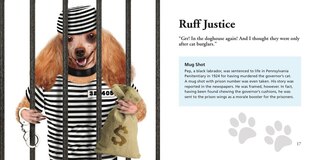 Aper&ccedil;u du contenu 2_DOGS GONE BAD