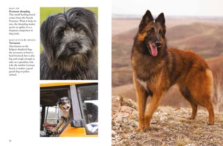 Sample content 5_Dogs