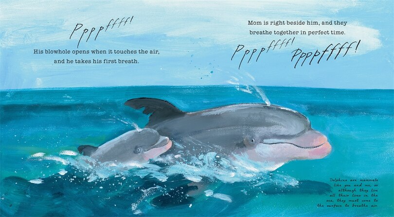 Aperçu du contenu 2_Dolphin Baby!