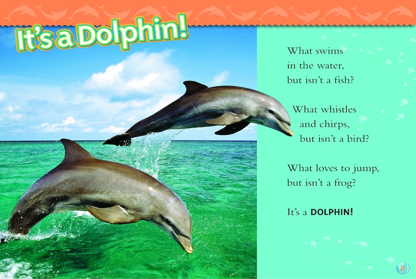 Sample content_Dolphins (National Geographic Kids Readers, Level 2)