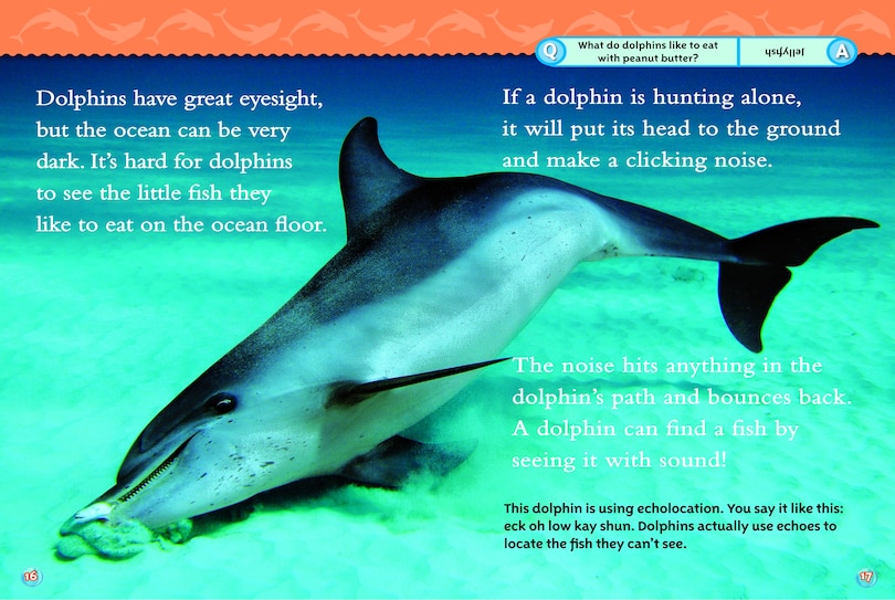 Sample content 3_Dolphins (National Geographic Kids Readers, Level 2)