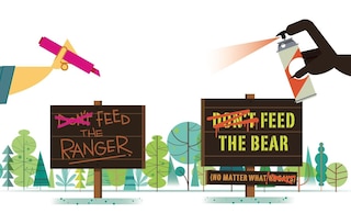 Sample content 4_Don't Feed The Bear