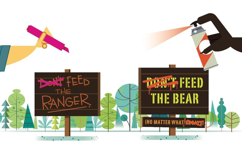 Sample content 4_Don't Feed The Bear
