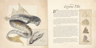 Sample content 2_Dr. C. Lillefisk's Sirenology