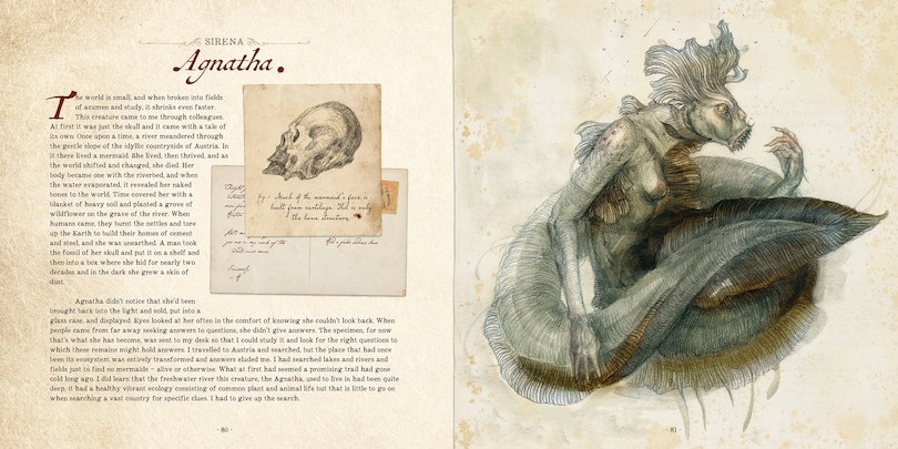 Sample content 4_Dr. C. Lillefisk's Sirenology
