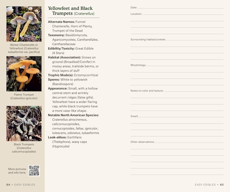 Aper&ccedil;u du contenu_Dr. Fun Guy's Mushroom Journal and Foraging Guide