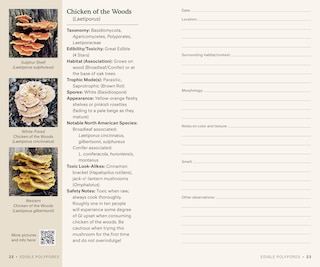 Aper&ccedil;u du contenu 3_Dr. Fun Guy's Mushroom Journal and Foraging Guide