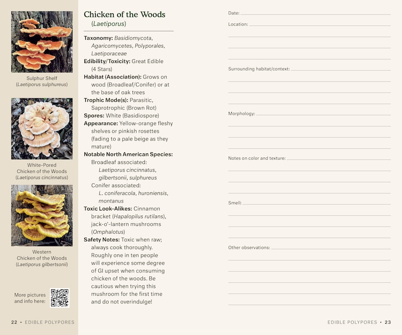 Aper&ccedil;u du contenu 3_Dr. Fun Guy's Mushroom Journal and Foraging Guide