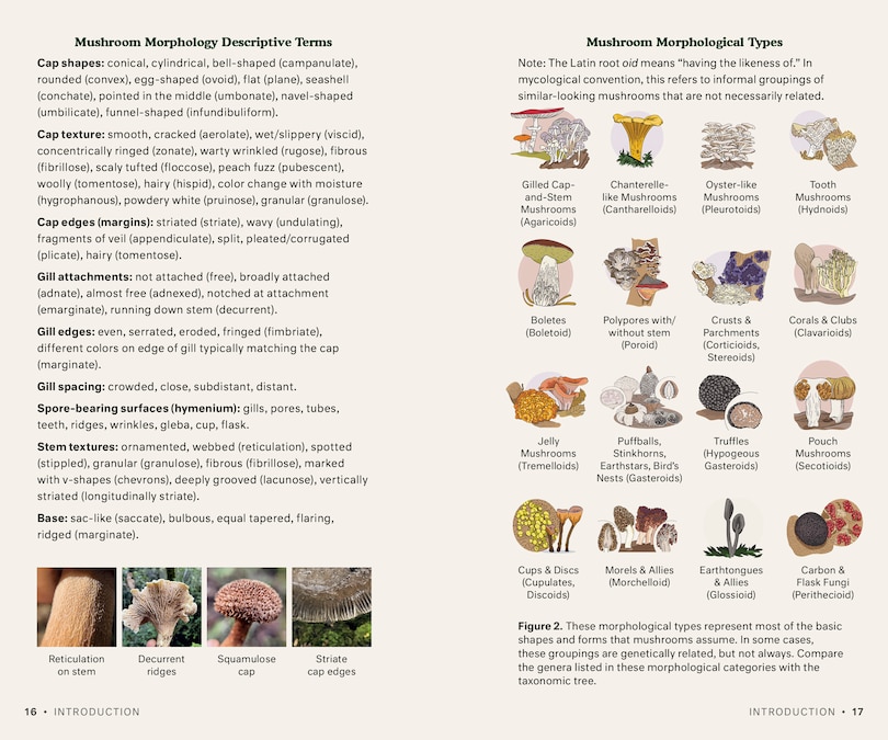 Aper&ccedil;u du contenu 4_Dr. Fun Guy's Mushroom Journal and Foraging Guide