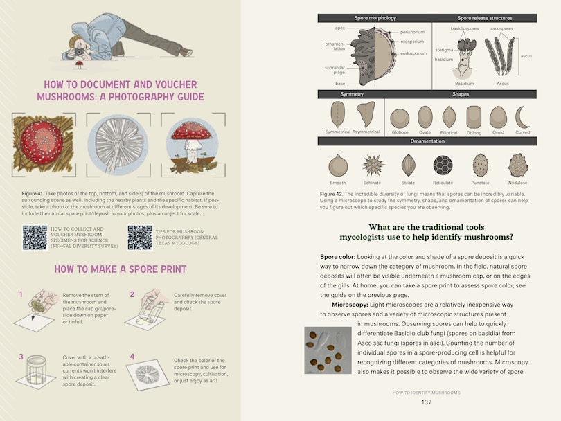 Sample content 3_Dr. Fun Guy's Passport to Kingdom Fungi