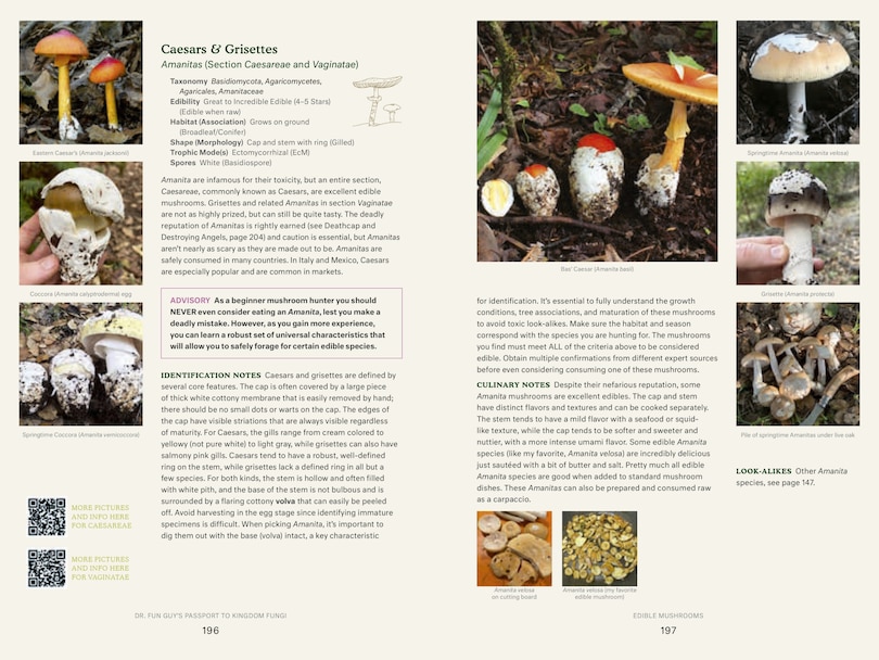 Sample content 5_Dr. Fun Guy's Passport to Kingdom Fungi