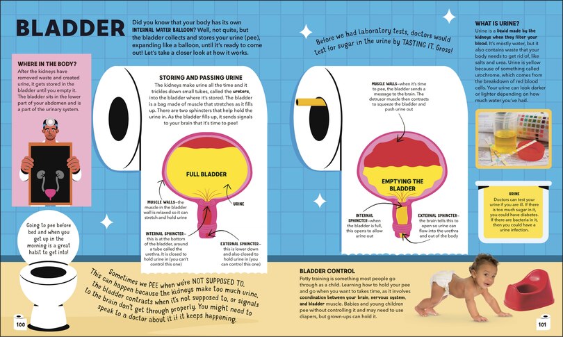 Sample content_Dr Ranj's Human Body Encyclopedia