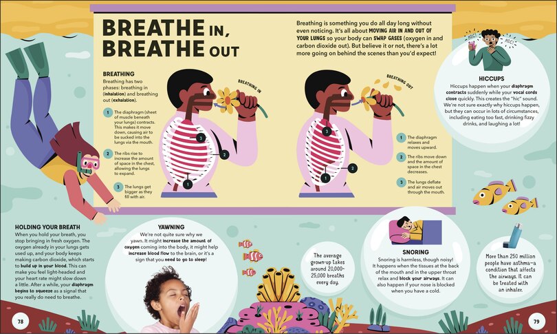 Sample content 3_Dr Ranj's Human Body Encyclopedia