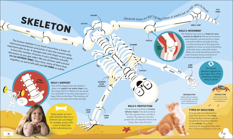 Sample content 5_Dr Ranj's Human Body Encyclopedia