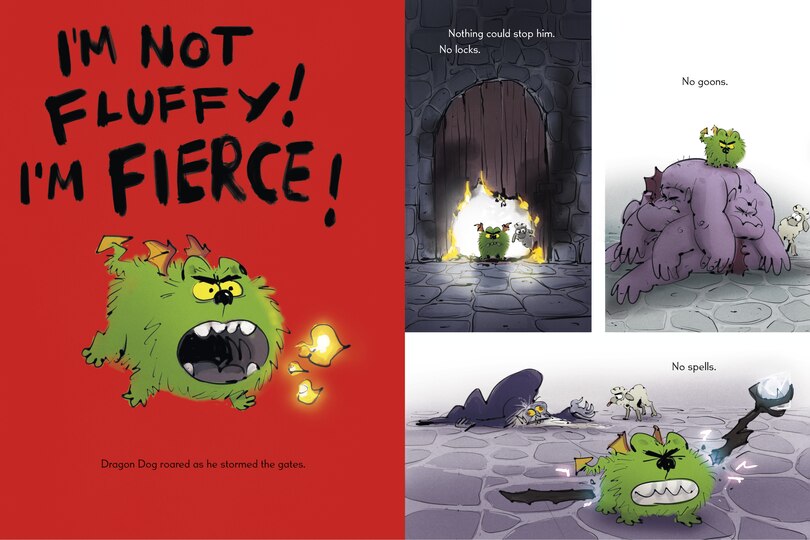 Aper&ccedil;u du contenu_Dragon Dog