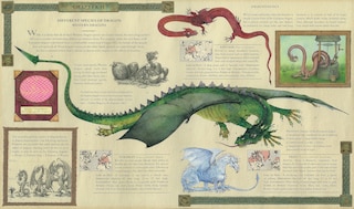 Sample content 3_Dragonology