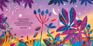 Aper&ccedil;u du contenu 5_Dragons and Other Creatures of the Sky