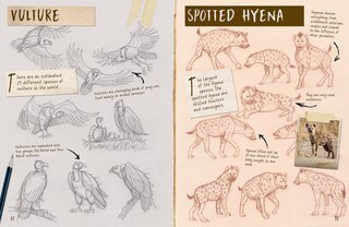 Sample content_Draw 1001 Animals