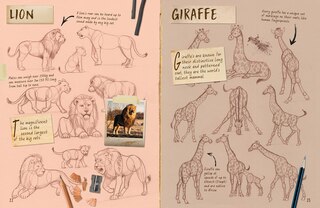Sample content 2_Draw 1001 Animals