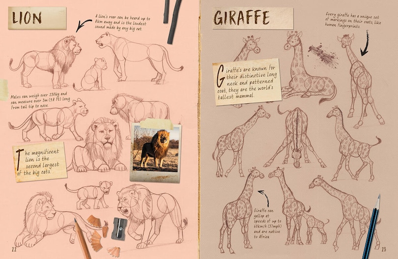 Sample content 2_Draw 1001 Animals