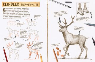 Sample content 3_Draw 1001 Animals