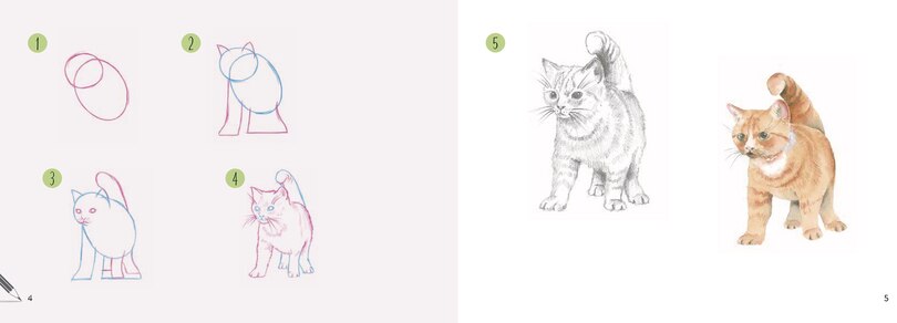 Sample content 3_Draw 30: Cats