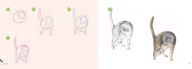 Sample content 5_Draw 30: Cats