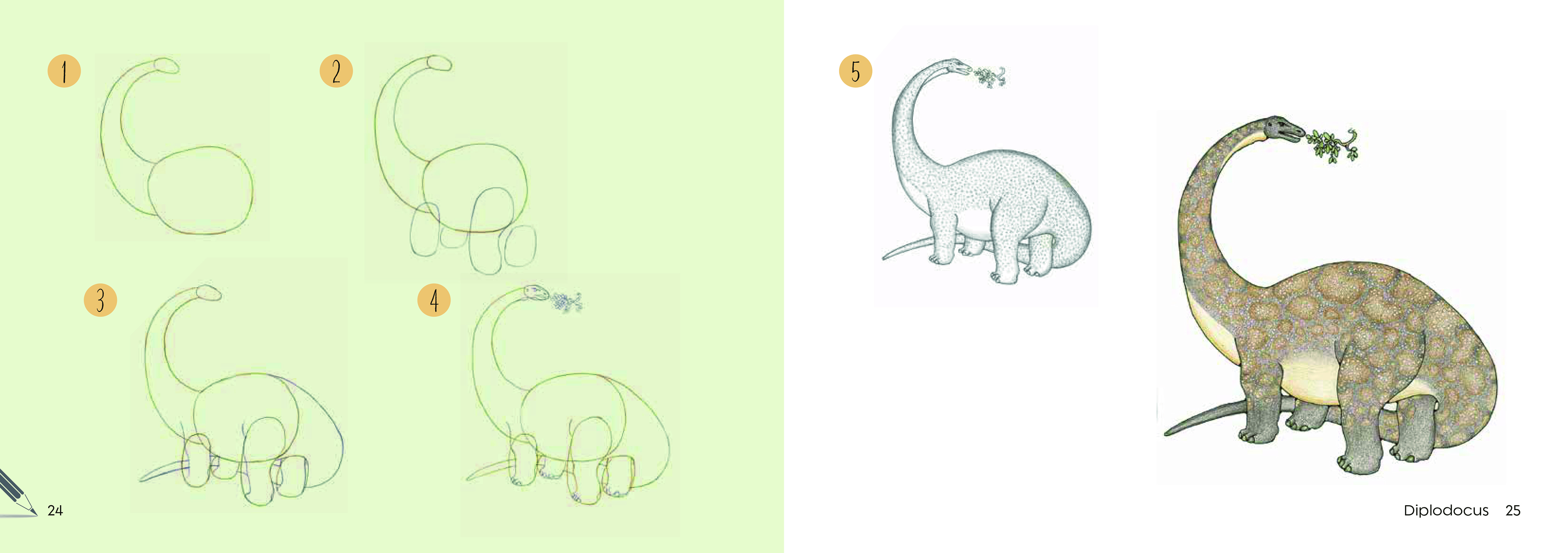 Aperçu du contenu 4_Draw 30: Dinosaurs