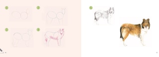 Sample content 5_Draw 30: Dogs