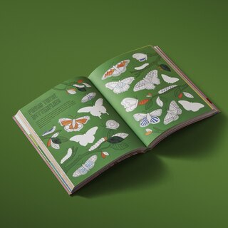 Aperçu du contenu 2_Draw Happy