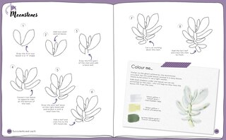 Sample content 2_Draw in 10 Minutes: Botanicals