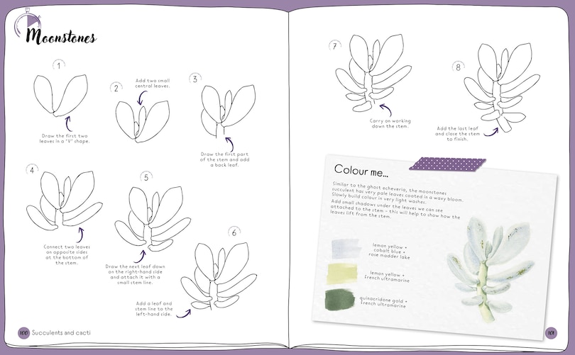 Sample content 2_Draw in 10 Minutes: Botanicals