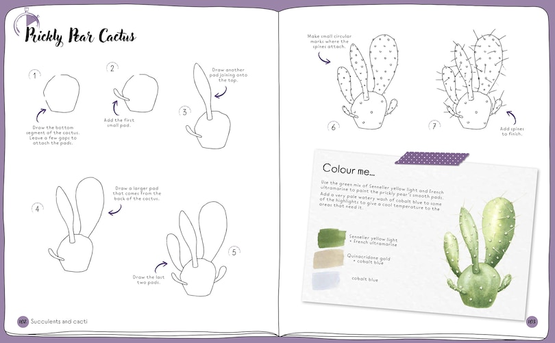 Sample content 3_Draw in 10 Minutes: Botanicals