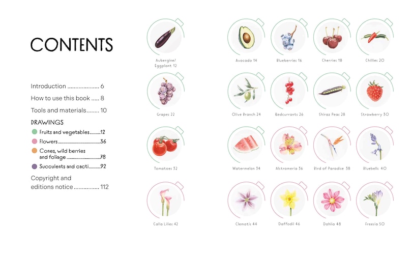 Sample content 4_Draw in 10 Minutes: Botanicals