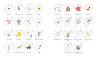 Sample content 5_Draw in 10 Minutes: Botanicals