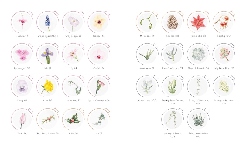 Sample content 5_Draw in 10 Minutes: Botanicals