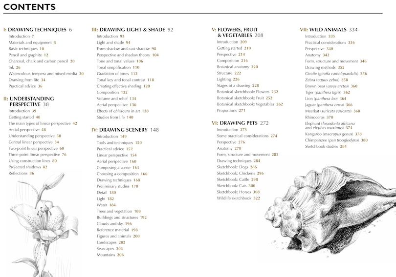 Aperçu du contenu_Drawing- A Complete Guide: Nature