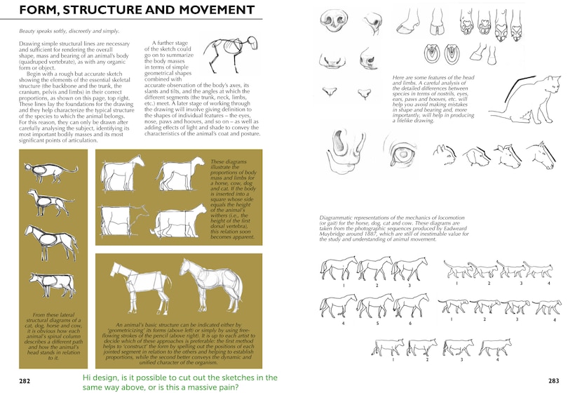 Aperçu du contenu 2_Drawing- A Complete Guide: Nature