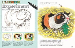 Aperçu du contenu 2_Drawing Animals