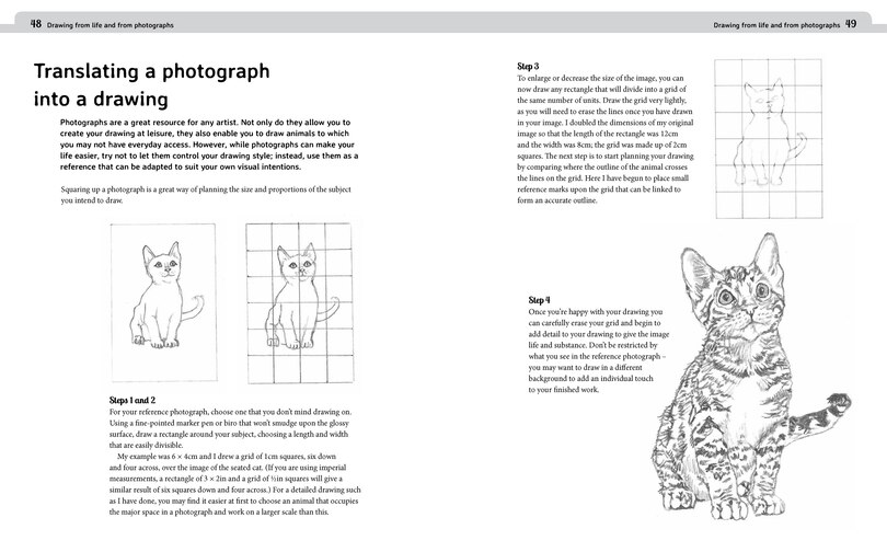 Sample content_DRAWING PET PORTRAITS