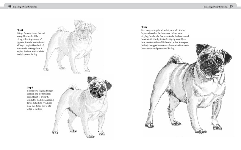 Sample content 2_DRAWING PET PORTRAITS
