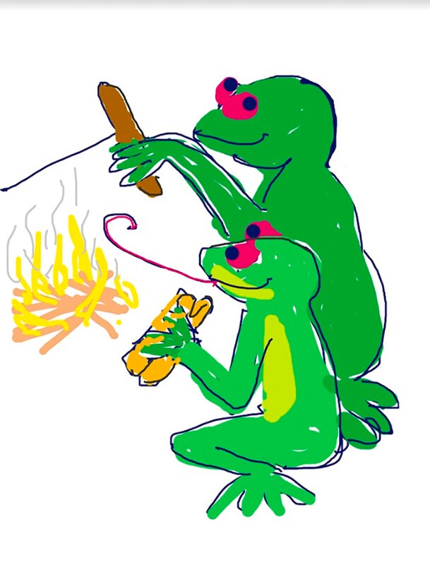 Aper&ccedil;u du contenu_Duck Book